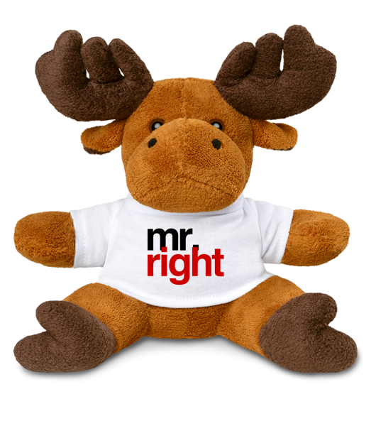 Mr. Right Logo - Elch - Weiß - Vorne